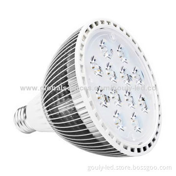 PAR38 LED Bulbs with 12W Power Consumption and 85 to 265V AC Input Voltage